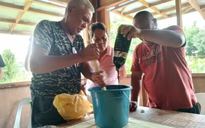SANVICOFA Farmers Embrace Climate-Smart Agriculture to Boost Coconut Productivity